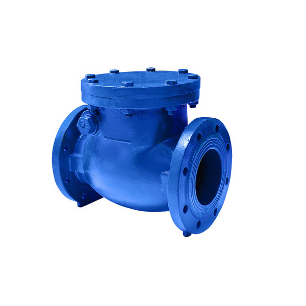 JIS F7372 - JIS 10K Cast Iron Swing Check Valve